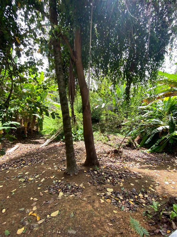 Casa para Alugar no Liberdade em Resende