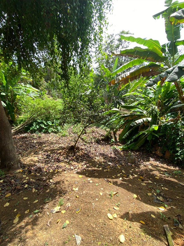 Casa para Alugar no Liberdade em Resende